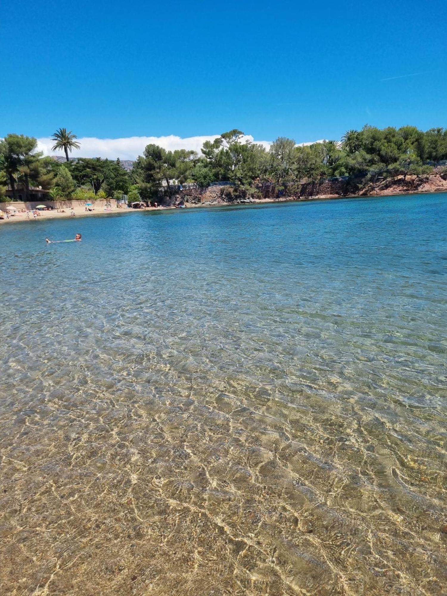 Studio 4P Vue Piscine St Raphael Valescure - Au Coeur Des Golfs Saint-Raphaël Kültér fotó
