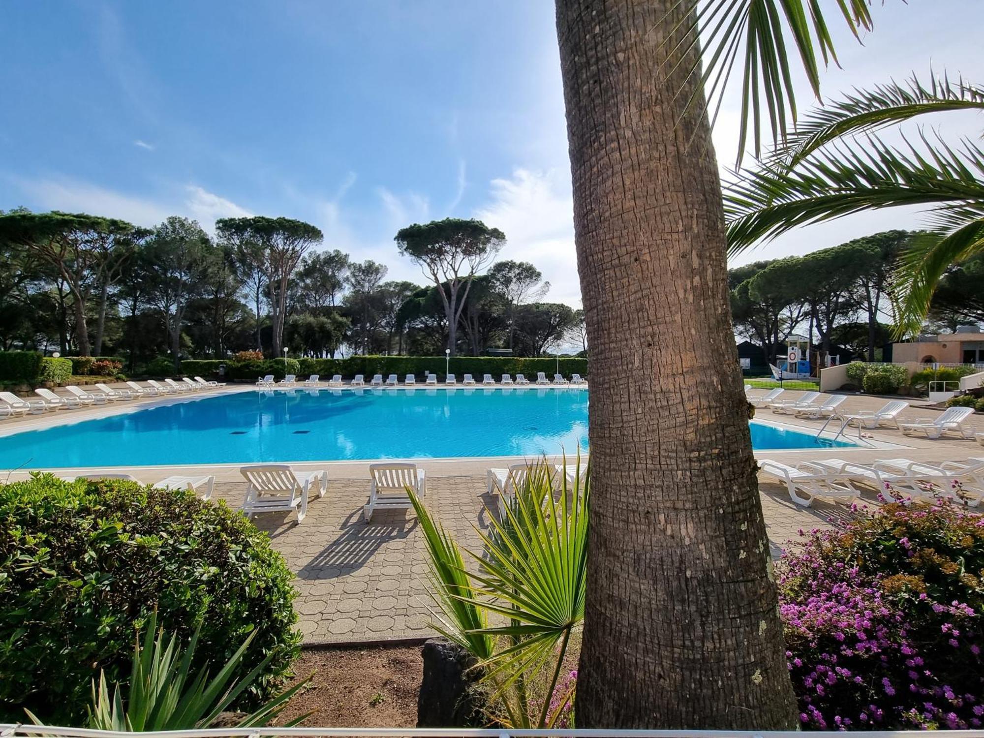 Studio 4P Vue Piscine St Raphael Valescure - Au Coeur Des Golfs Saint-Raphaël Kültér fotó
